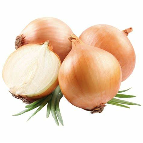 cebola