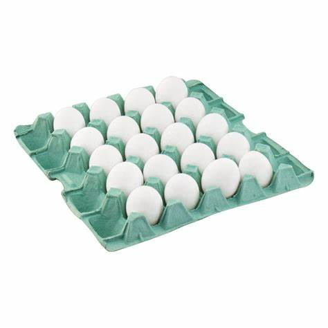 ovos brancos bandeja com 20 ovos