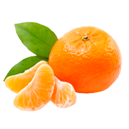 ELLITE - Bergamota