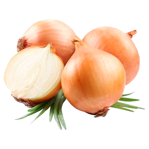 Cebola