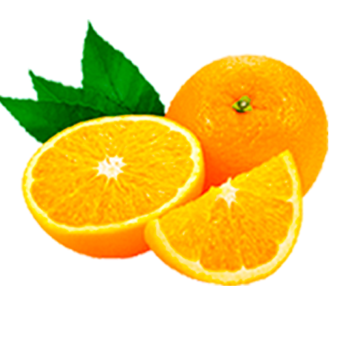 Laranja Suco