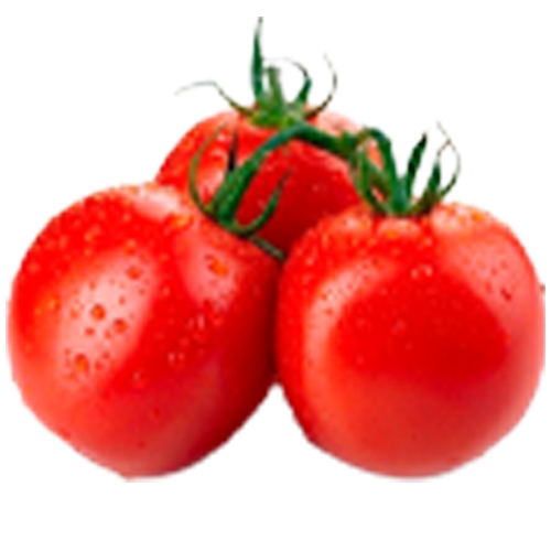 tomate longa vida