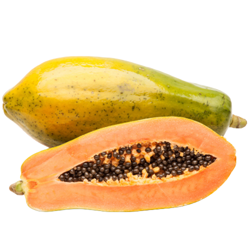 ELLITE - Mamão formosa