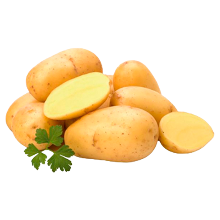 ELLITE - batata branca