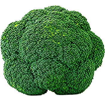 brócolis