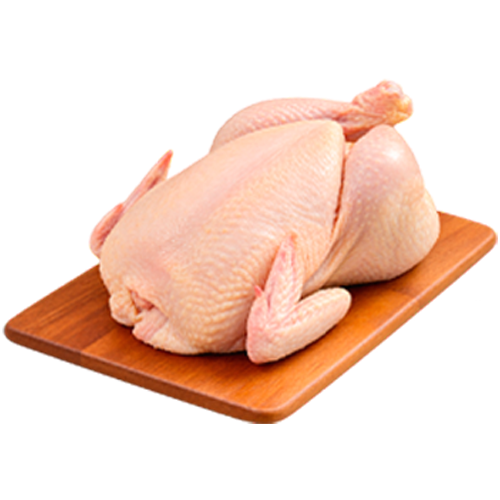 ELLITE - frango inteiro