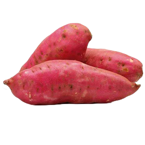 ELLITE- Batata doce