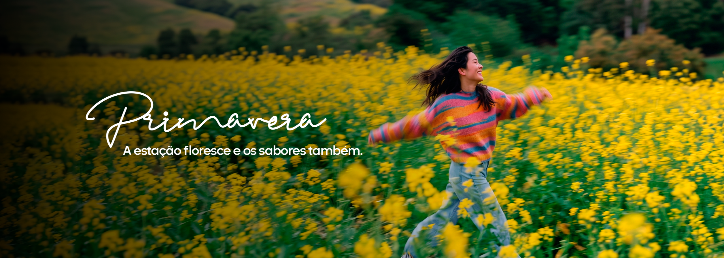 Banner site desktop